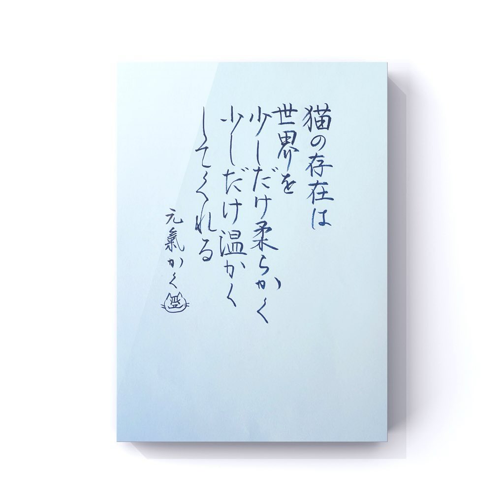 猫の存在は世界を少しだけ柔らかく 少しだけ温かくしてくれる